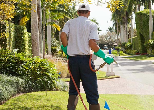 About Paris KY Pest Control